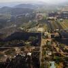 Destroyed vineyards  in the Yarra Valley after fire  ripped through.